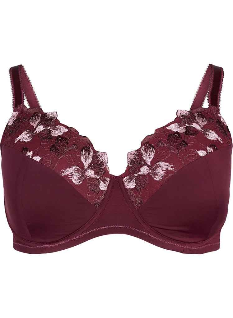 Dita Padded Bra